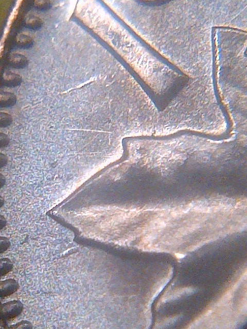 IMG-20140425-10501.jpg