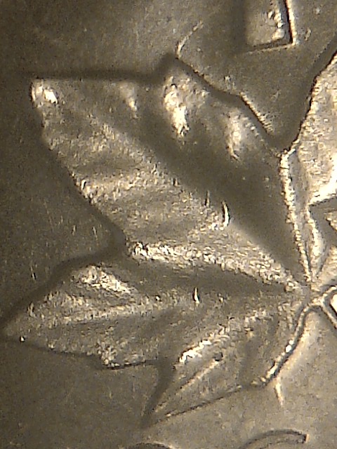 IMG-20140425-10515.jpg