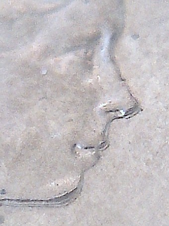 IMG-20140531-11369.jpg