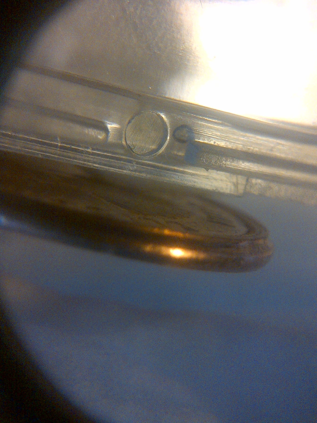 IMG-20140701-11983.jpg