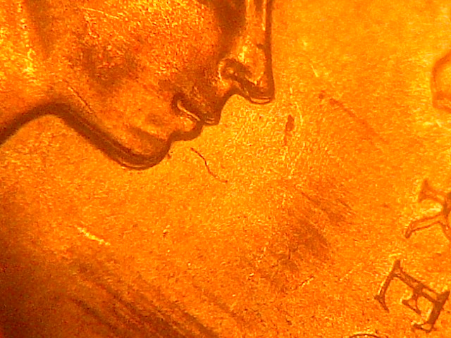 IMG-20140709-12284.jpg