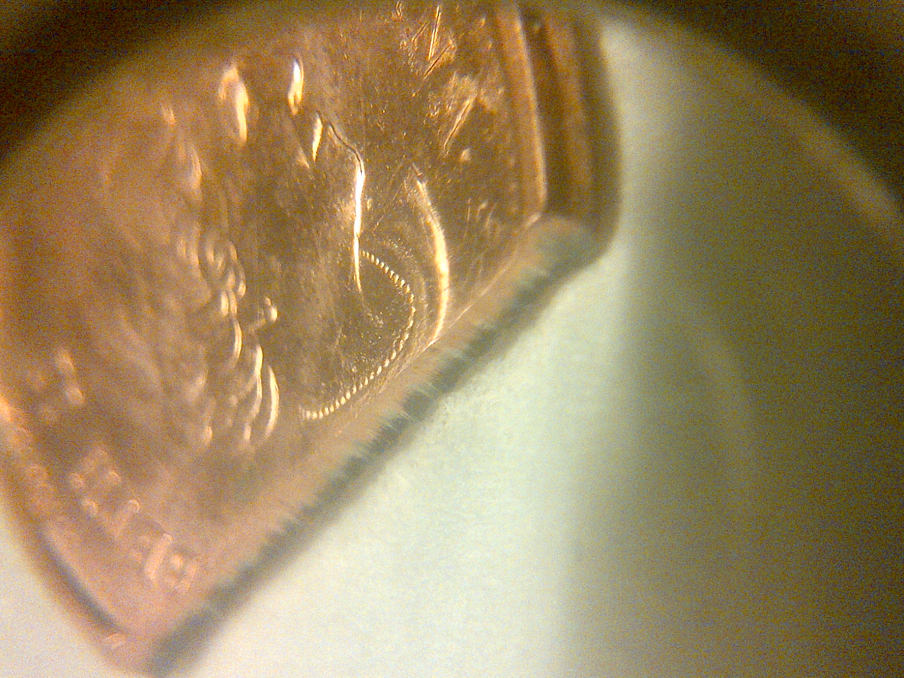 IMG-20140729-13028.jpg