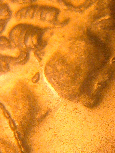 IMG-20140808-13430.jpg