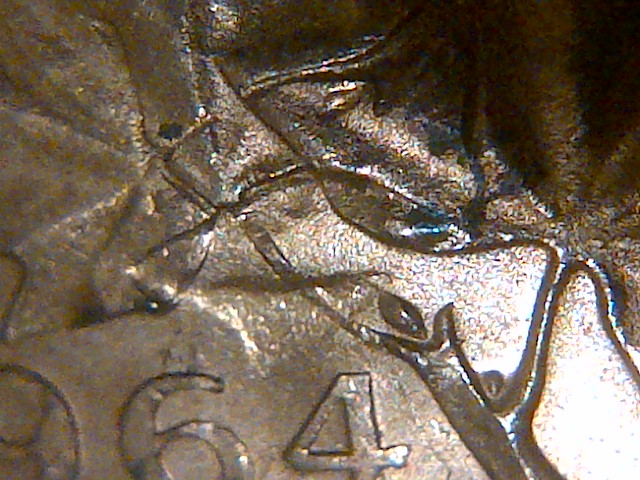 IMG-20141029-14575.jpg