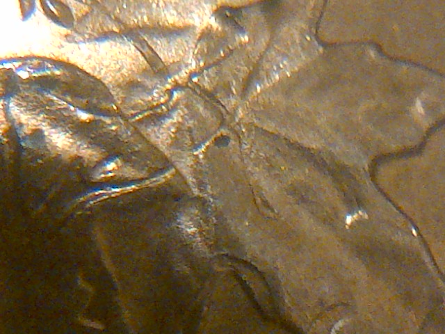 IMG-20141029-14578.jpg