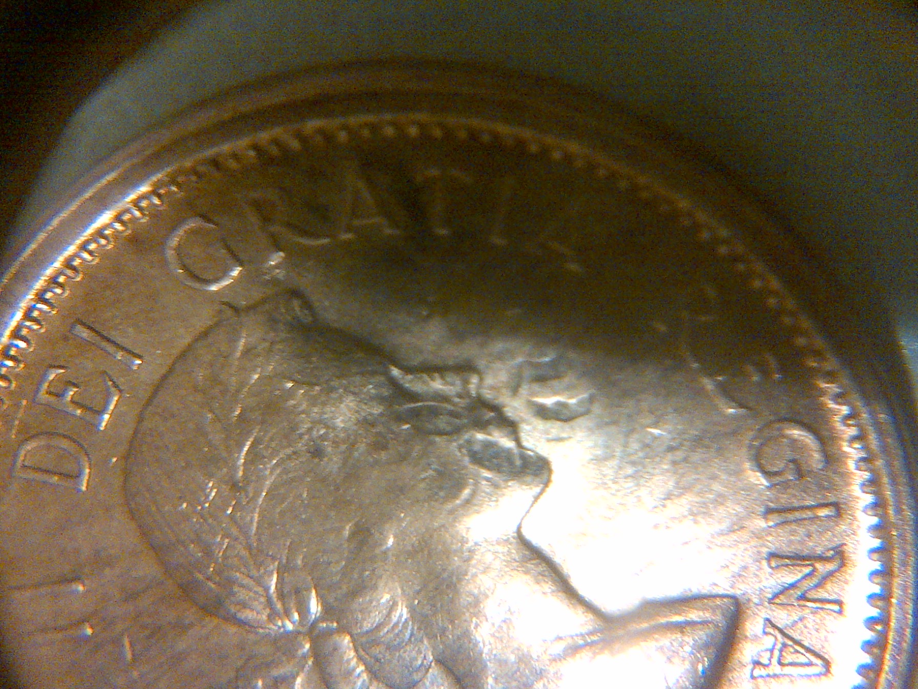 IMG-20141029-14582.jpg