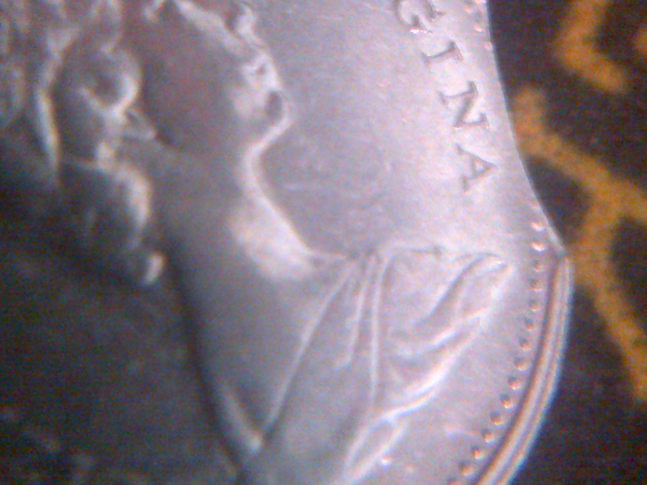 IMG-20150111-15268.jpg