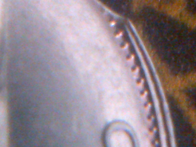 IMG-20150111-15269.jpg