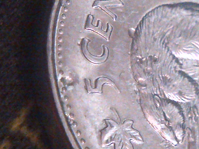 IMG-20150116-15381.jpg