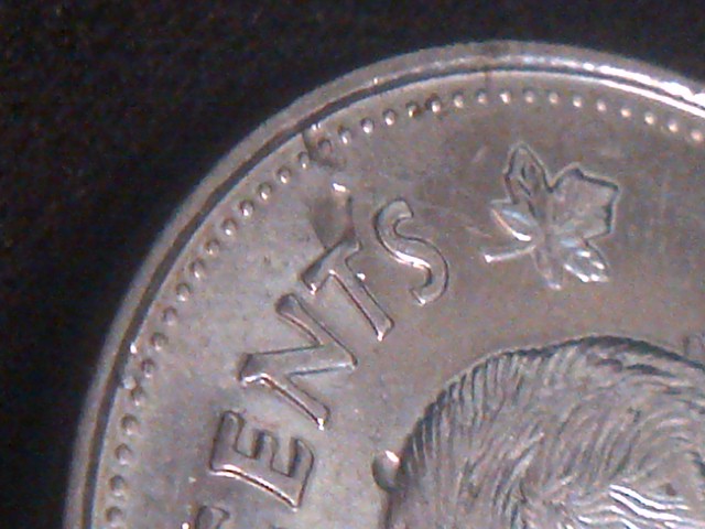 IMG-20150116-15382.jpg