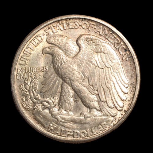 IMG-5649-removebg-preview.png