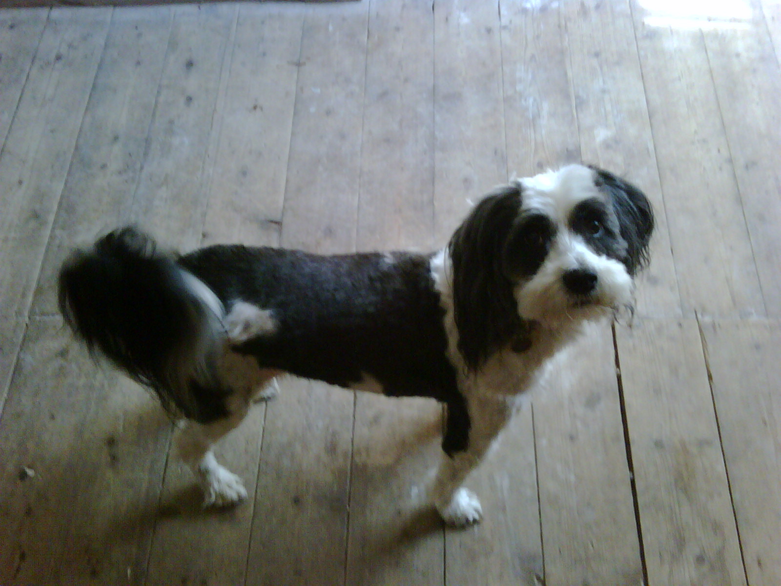 IMG00059.jpg
