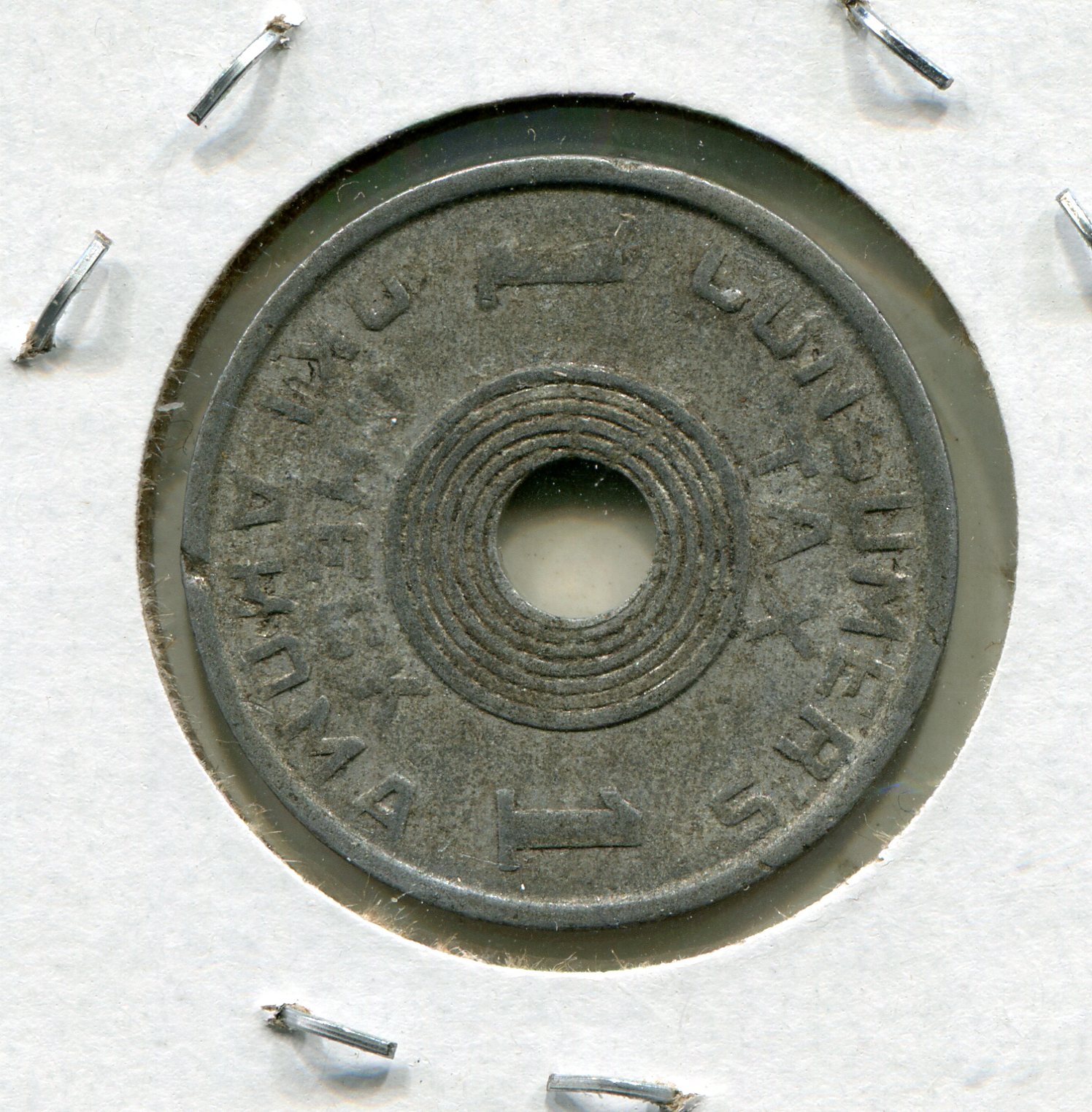 img215.jpg