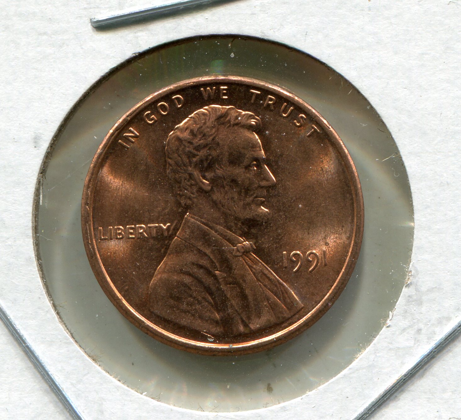 img339.jpg