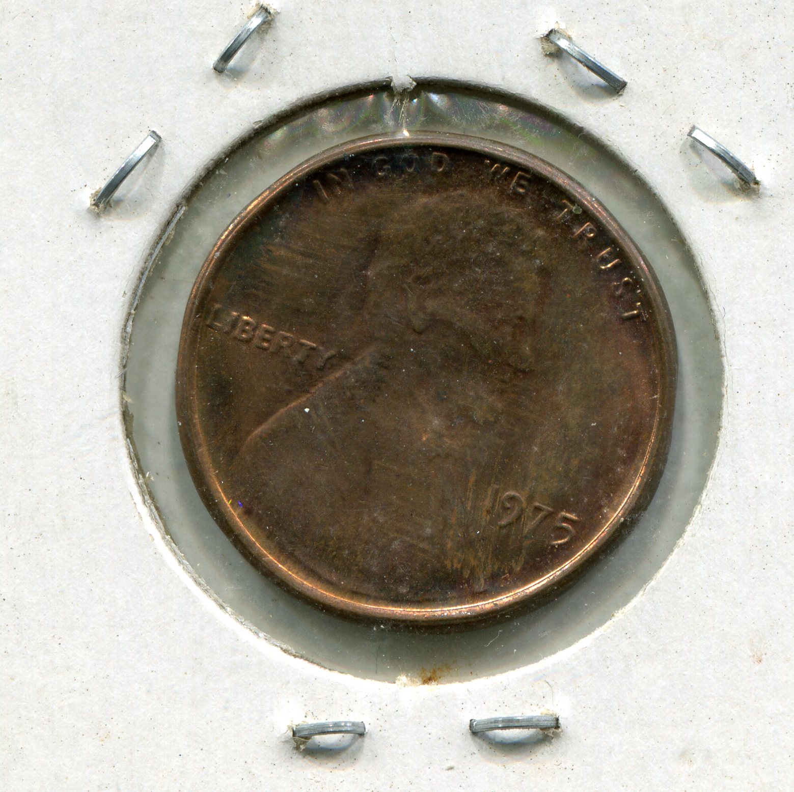 img394.jpg