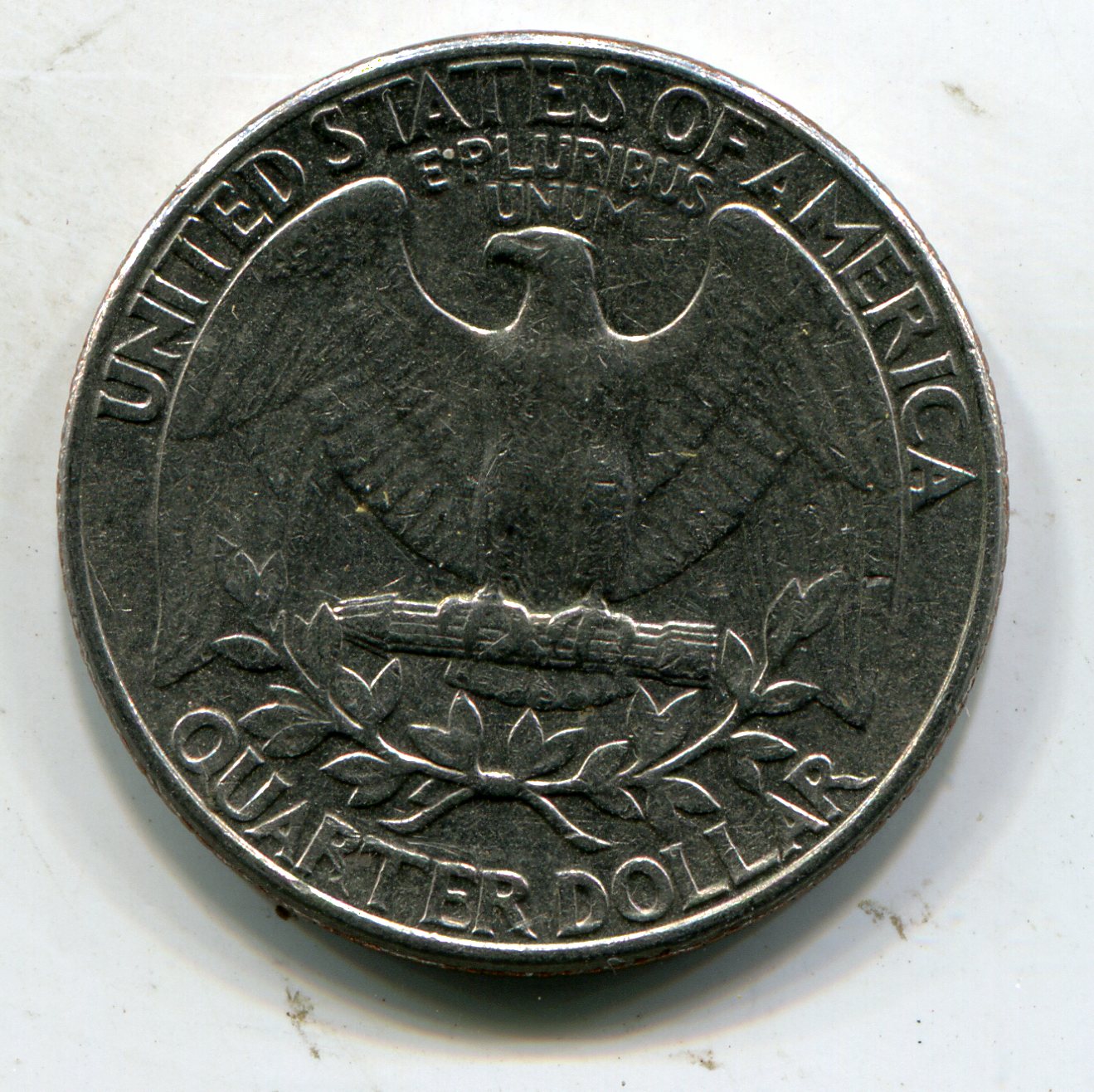 img446.jpg