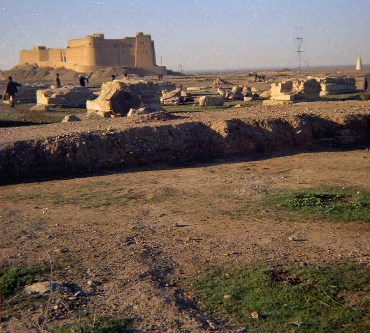 img580.jpg