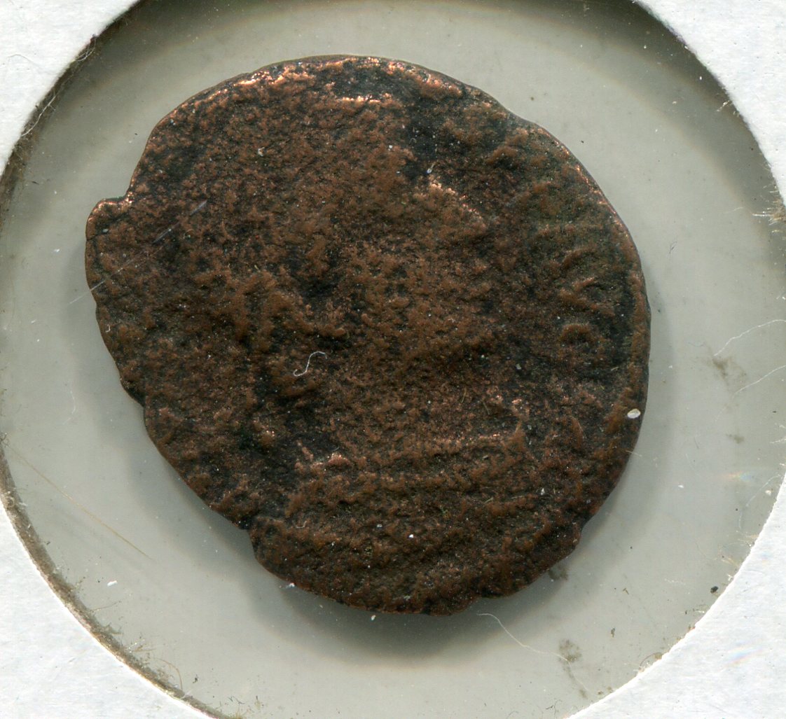 img710.jpg