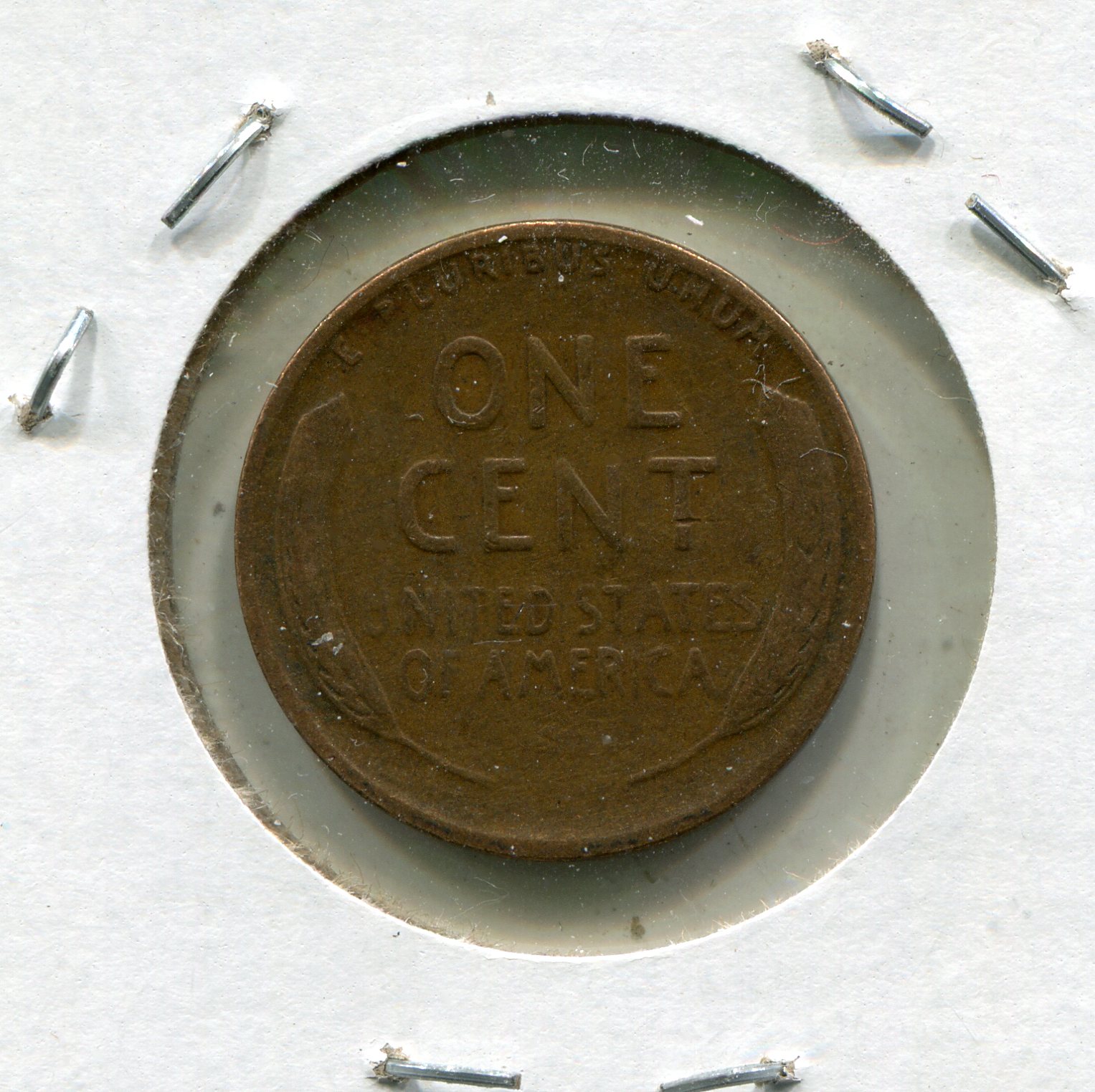 img735.jpg