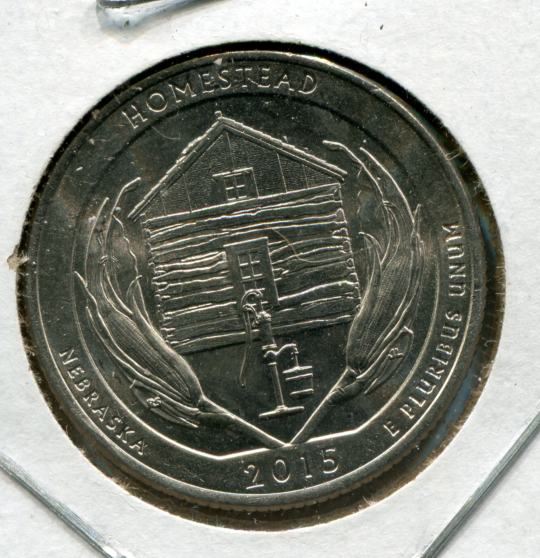 img742.jpg