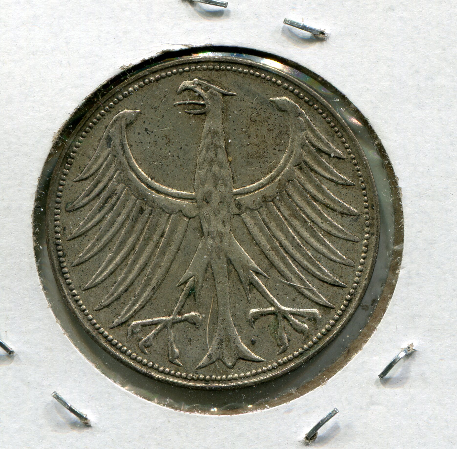 img779.jpg