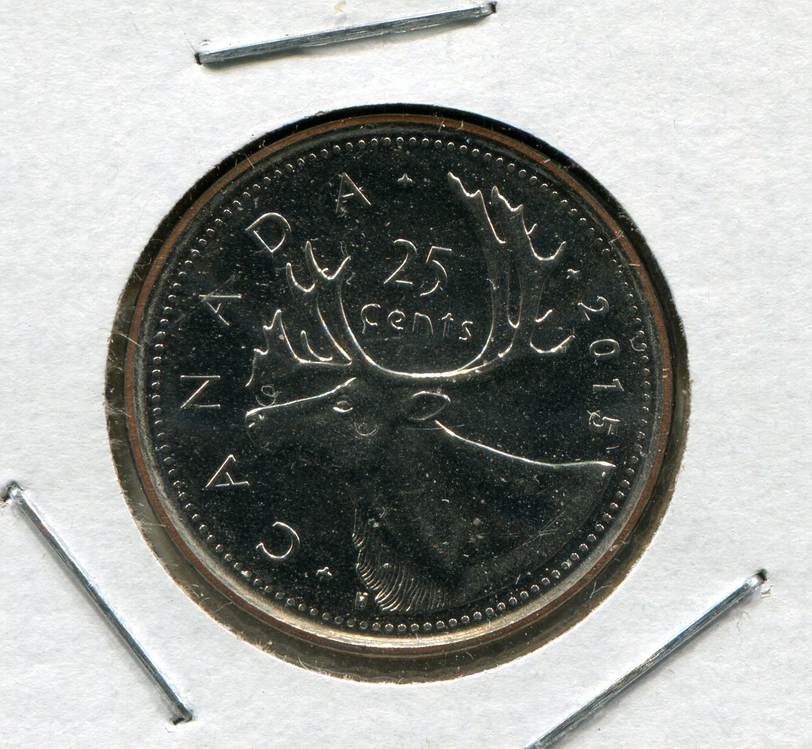 img804.jpg