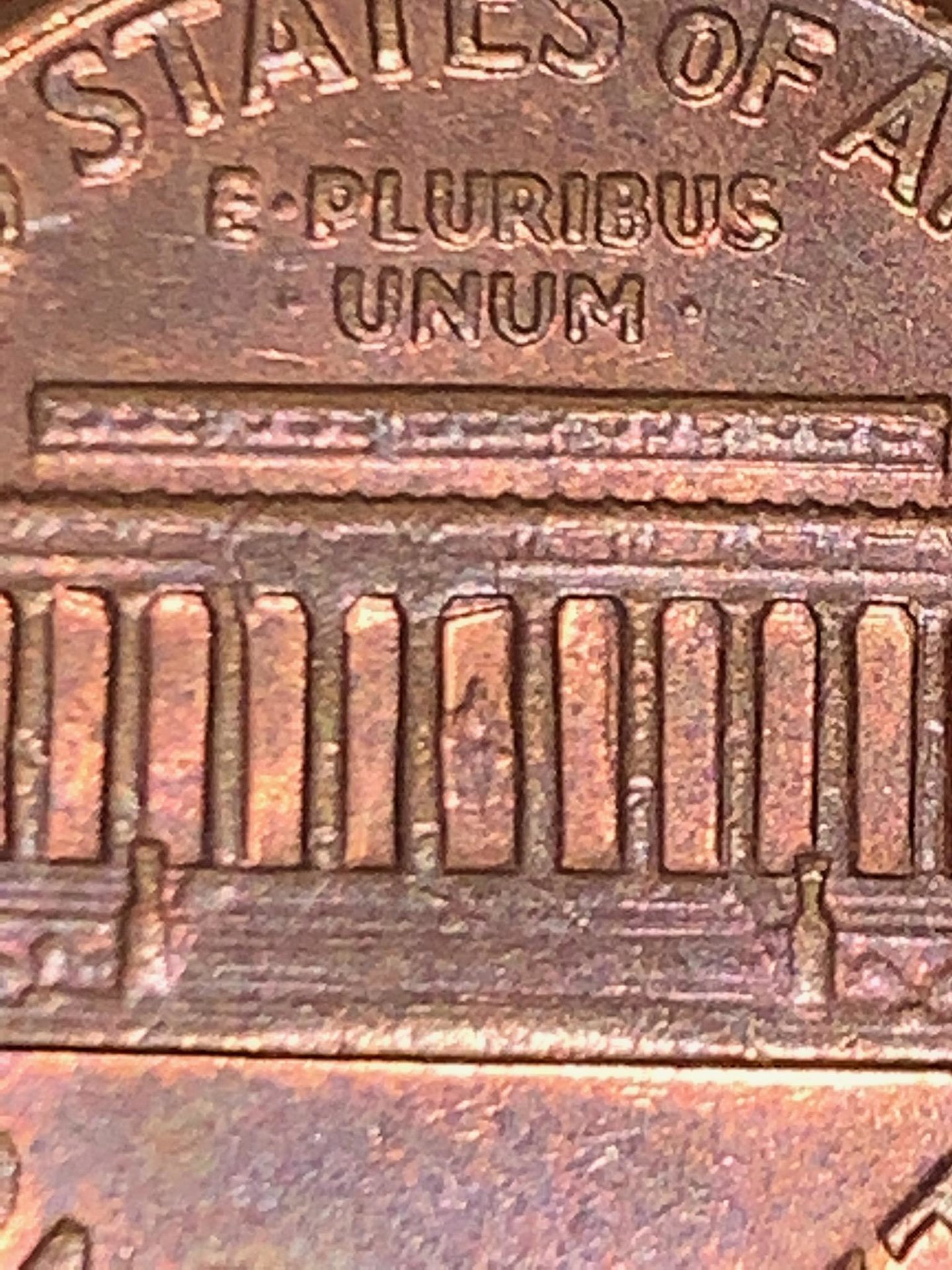 IMG953984.jpg