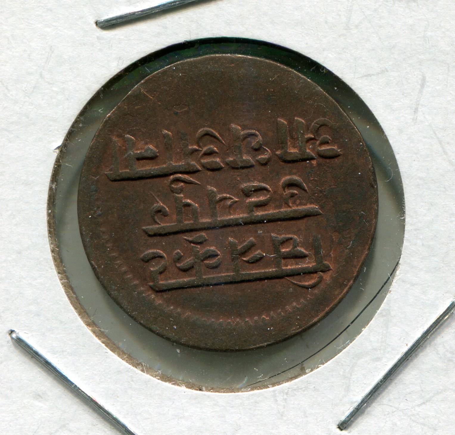 img984.jpg