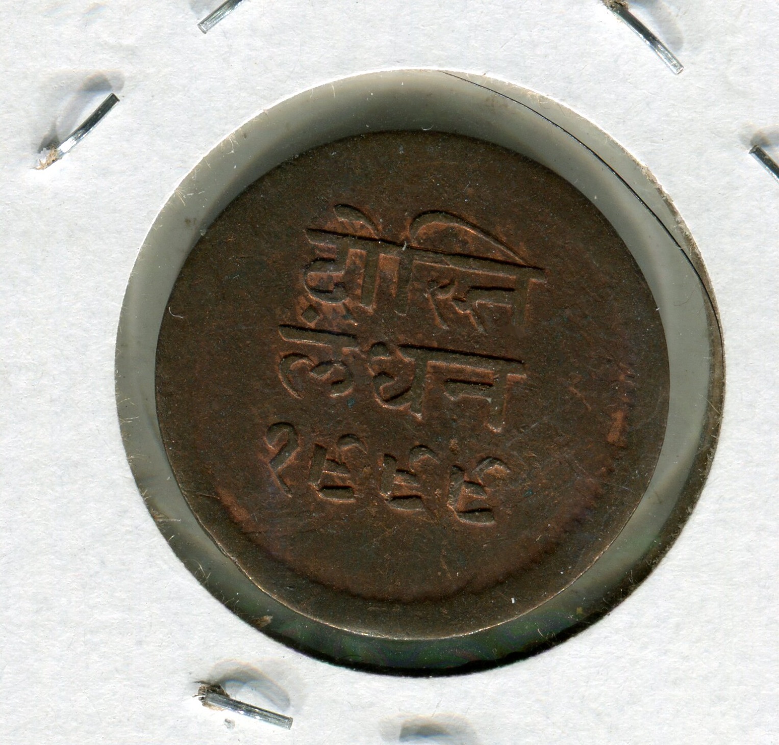 img985 2.jpg
