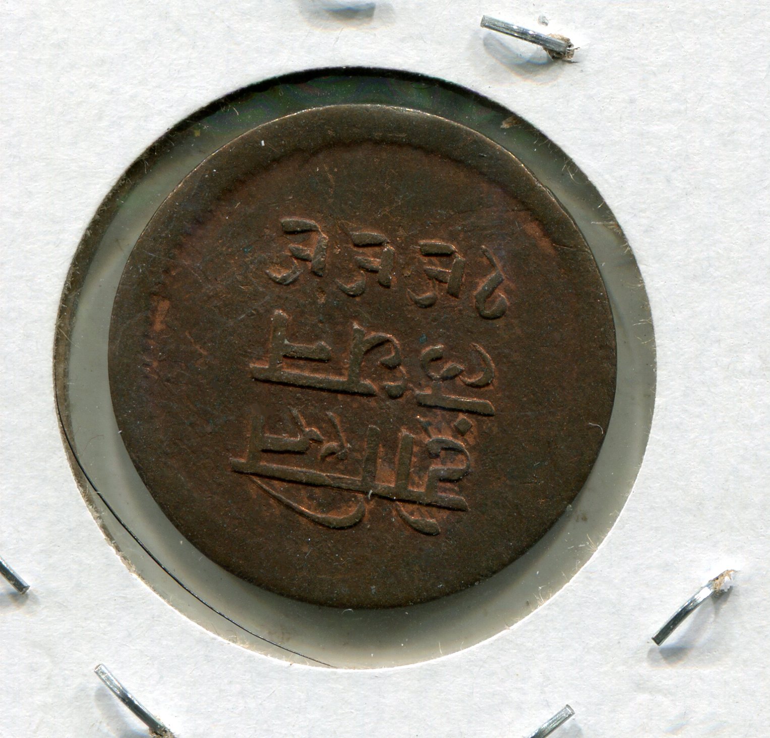 img985.jpg