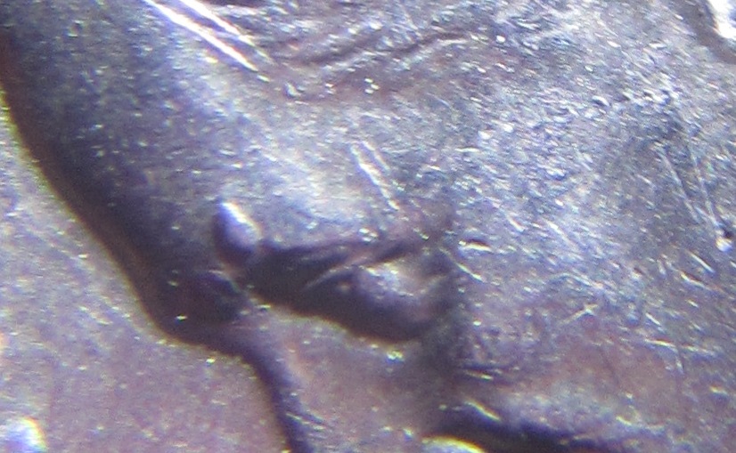 IMG_0044.JPG