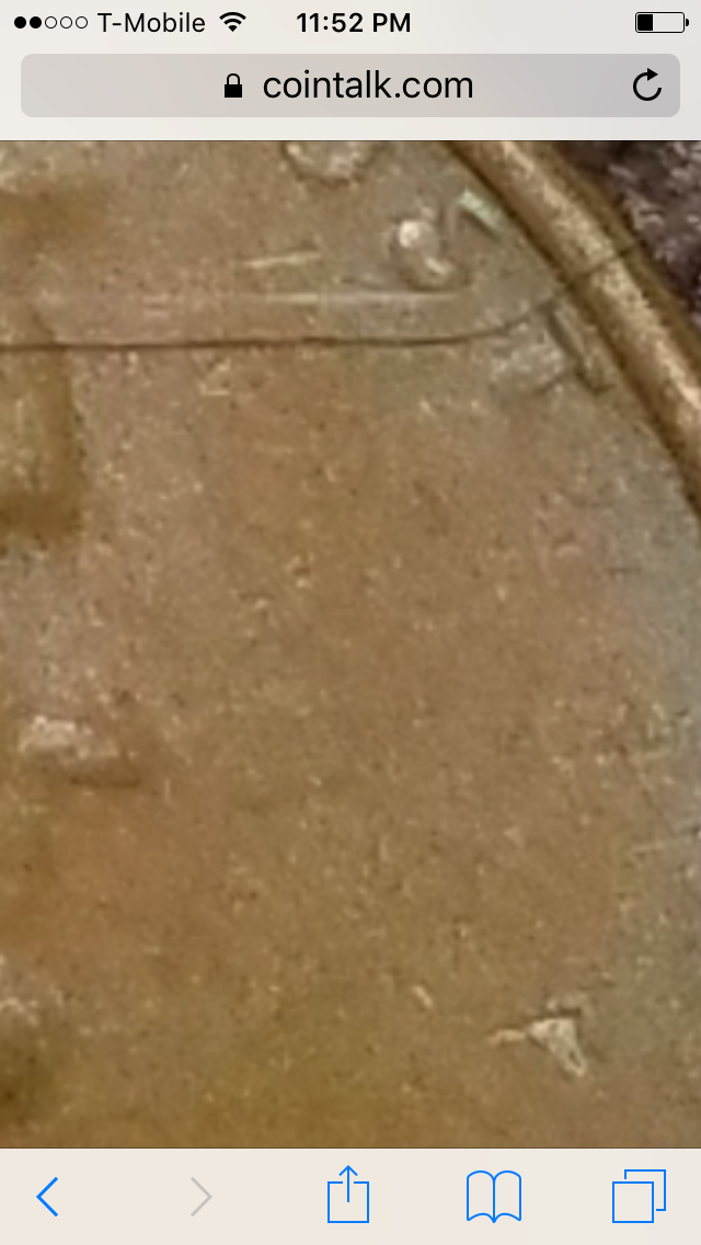 IMG_0072.PNG