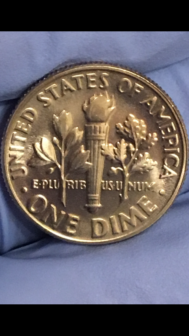IMG_0133.PNG
