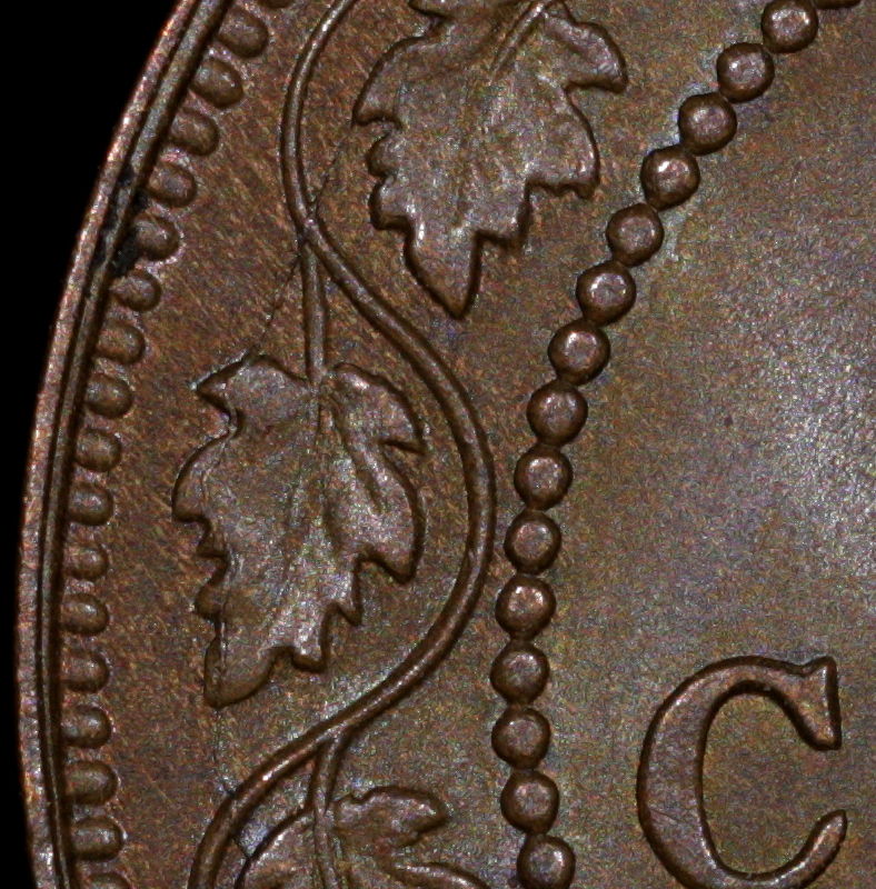 IMG_0181detail.JPG