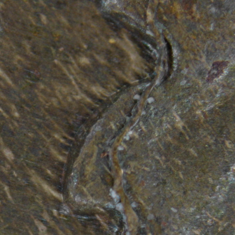 IMG_0182detail2.JPG