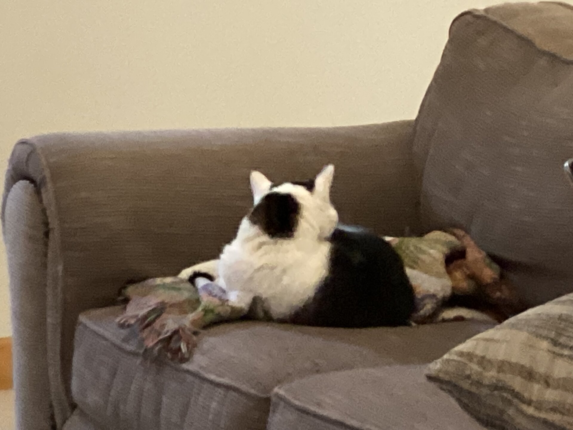 IMG_0321.jpeg