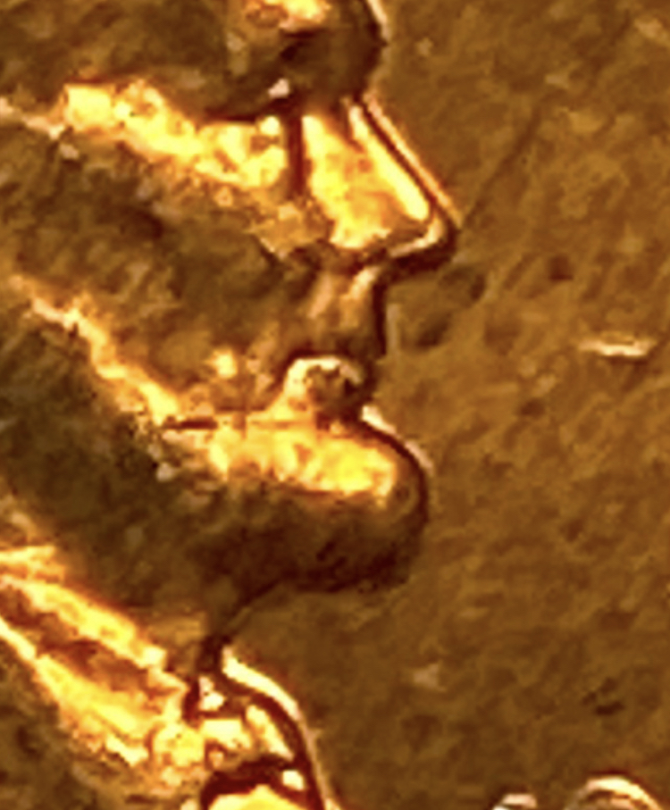 IMG_0374.jpeg