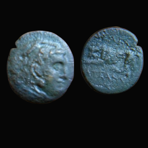 IMG_0428(1).PNG
