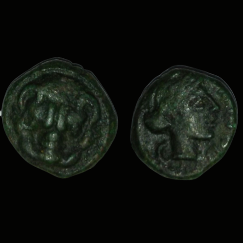 IMG_0463(1).PNG
