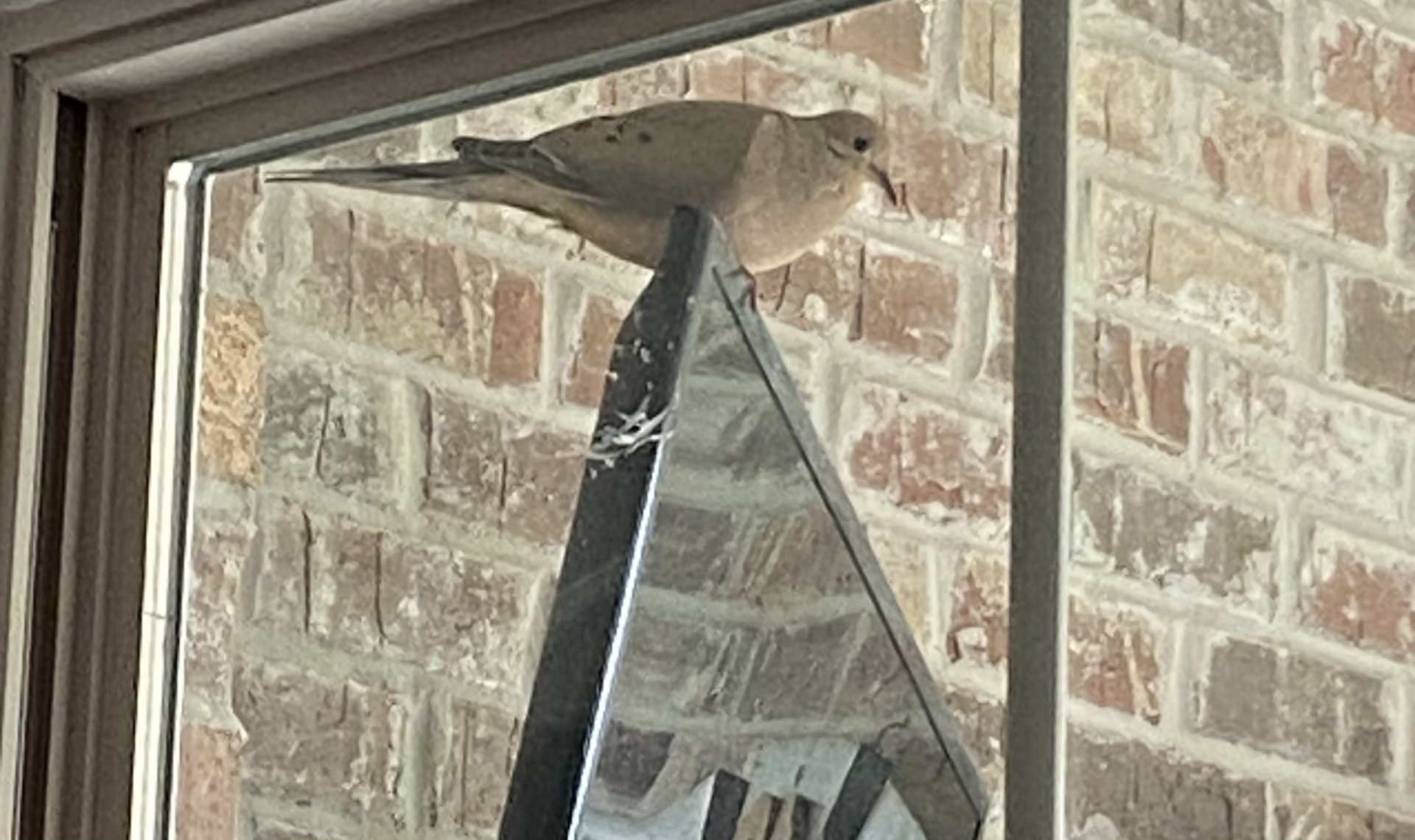 IMG_0495.jpeg