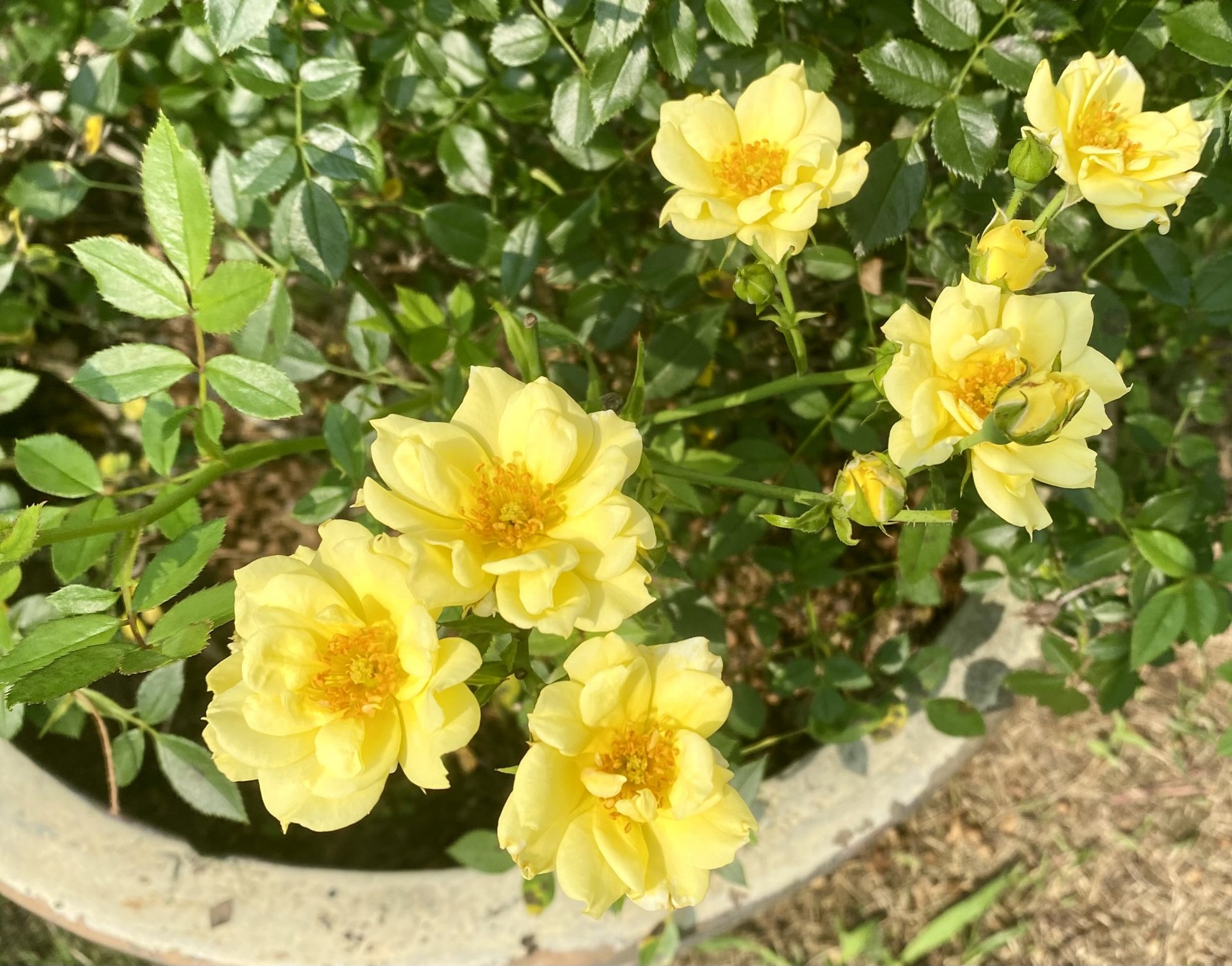 IMG_0589.jpeg