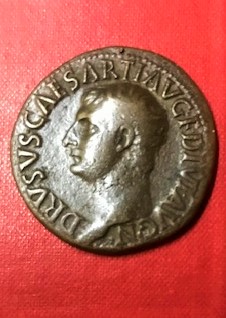 IMG_0737[2210]drusus.jpg