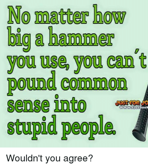 IMG_0759.PNG