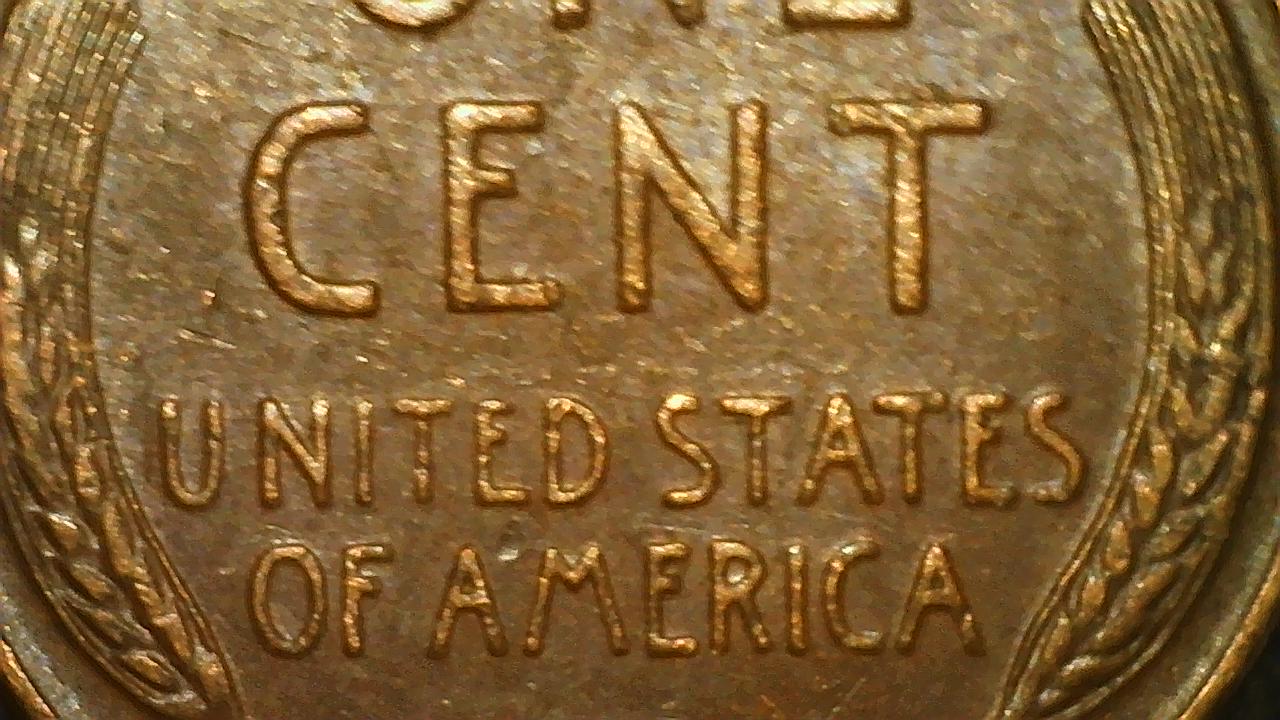 IMG_082.JPG