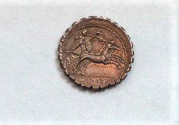 IMG_0873[3281]Bituitus rev.jpg
