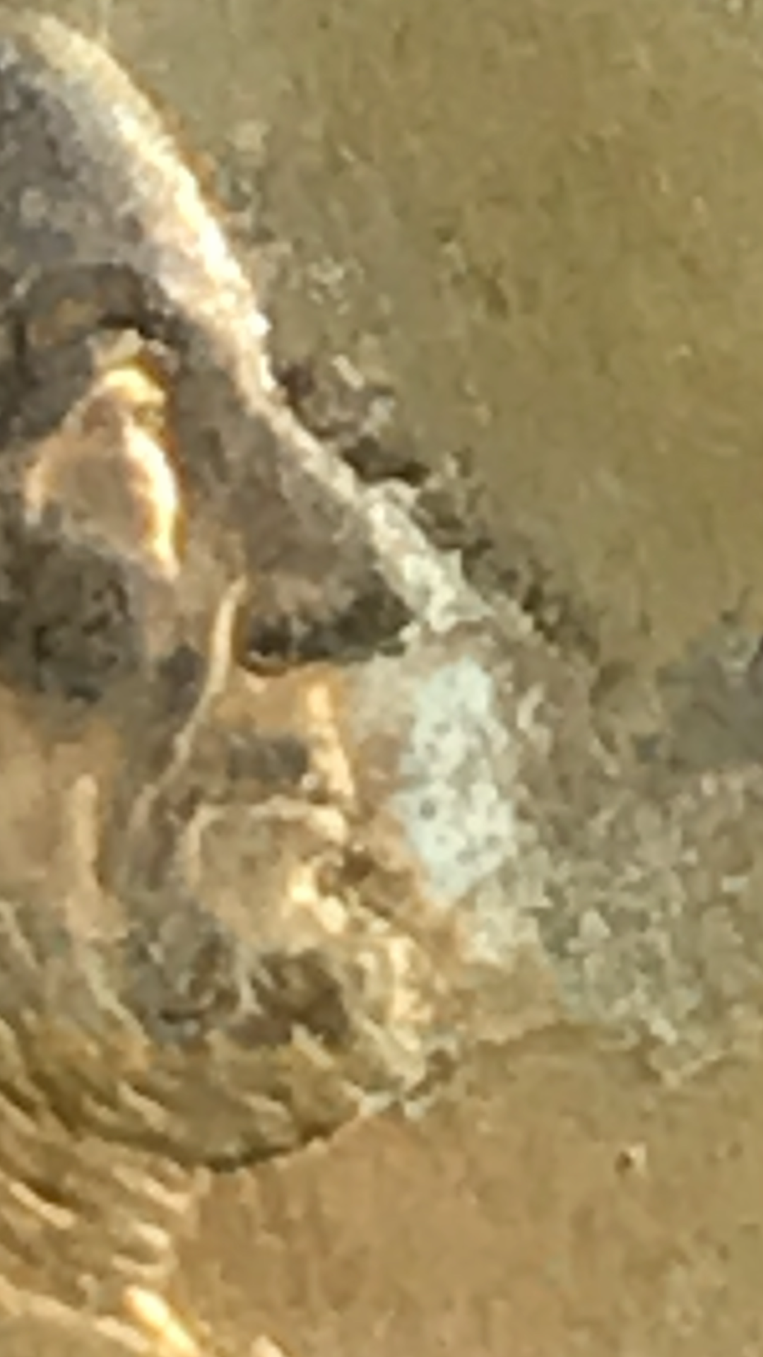 IMG_0883.PNG