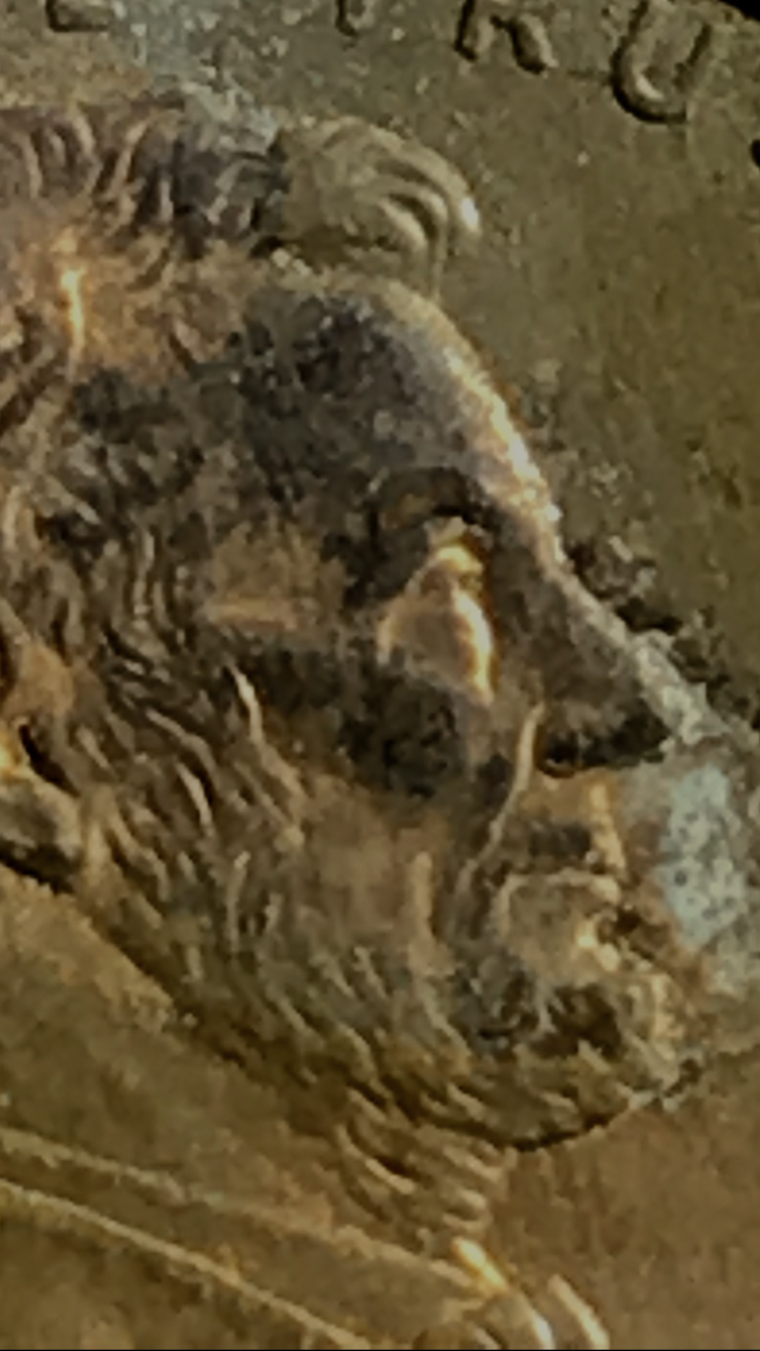 IMG_0885.PNG