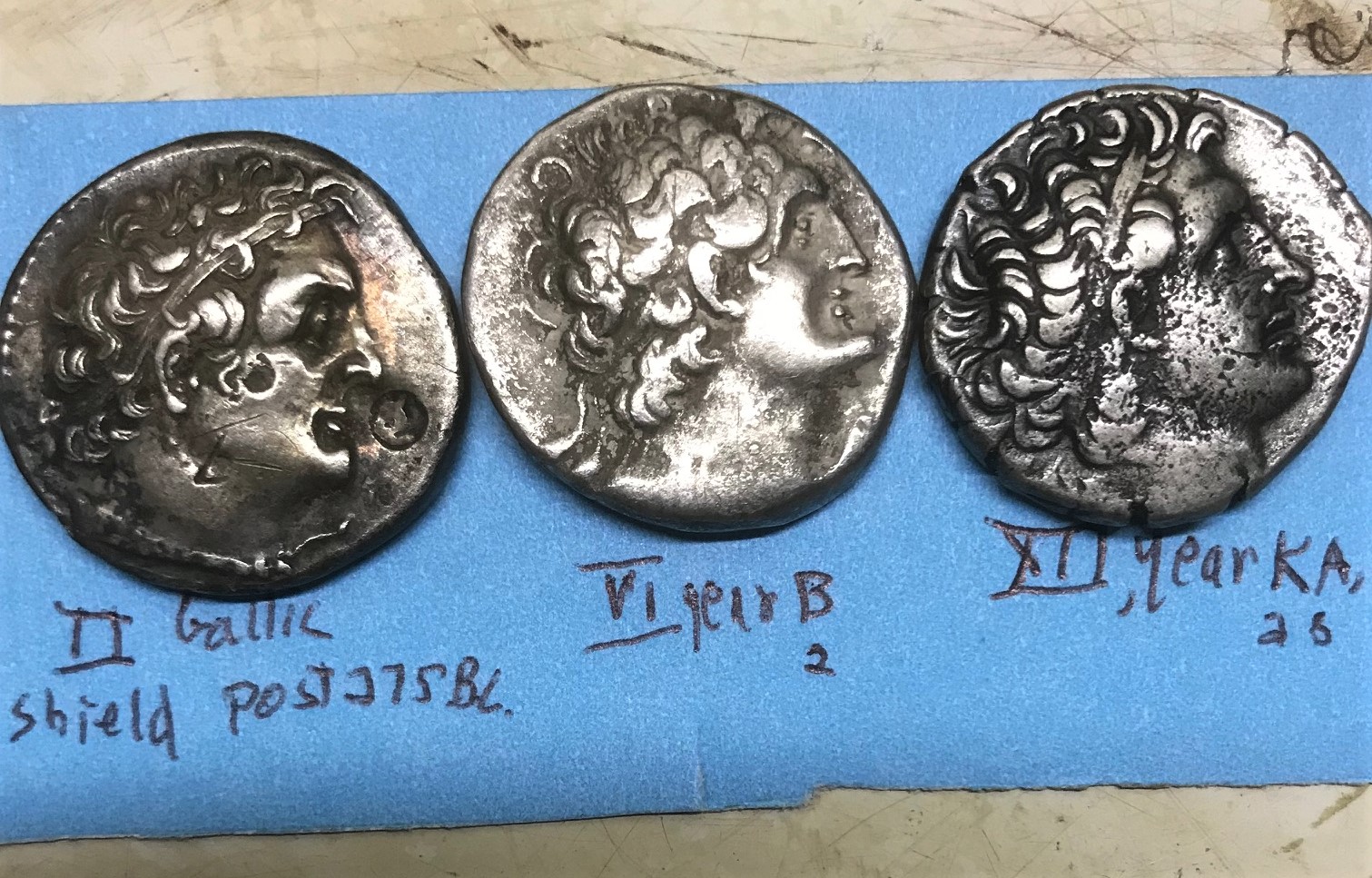 IMG_0944[3563]Ptolemies obv.jpg