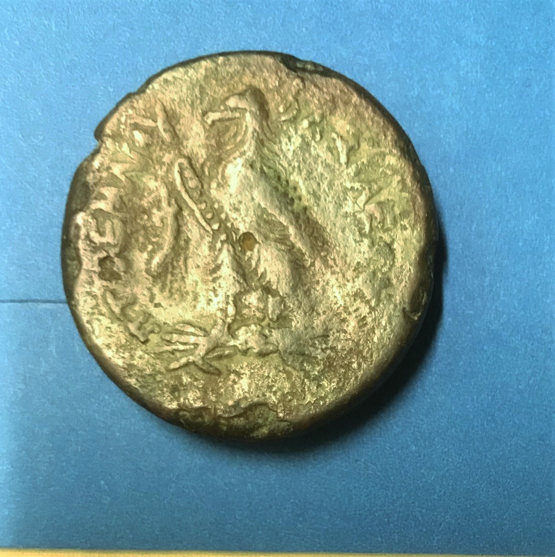 IMG_0950[3585]Ptolemies bronze rev..jpg
