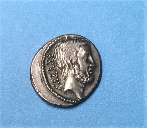 IMG_1039[1631]brutus obv..jpg